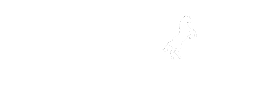 HiPPOS Cloud-based POS system Australia